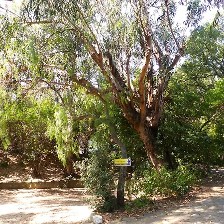 Cap Soleil Cavalaire-sur-Mer